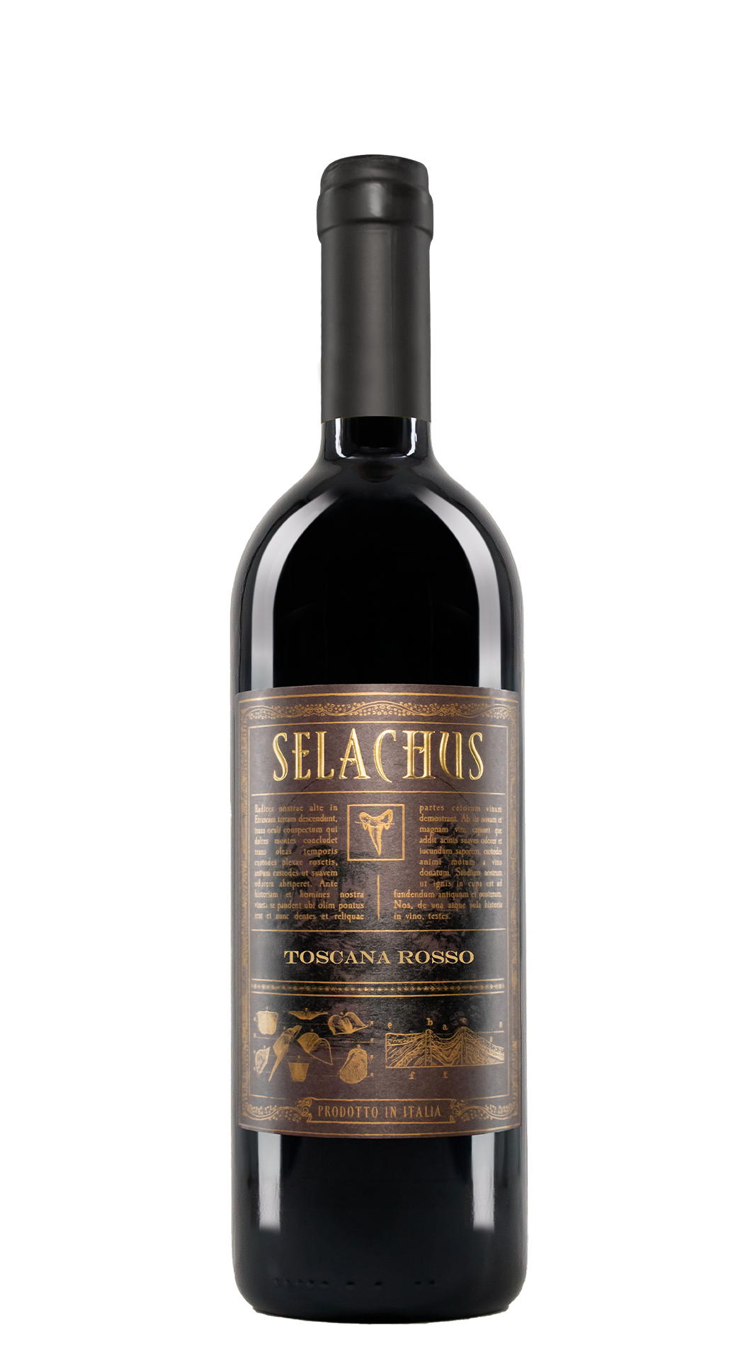 Selachus_Toscana_Rosso